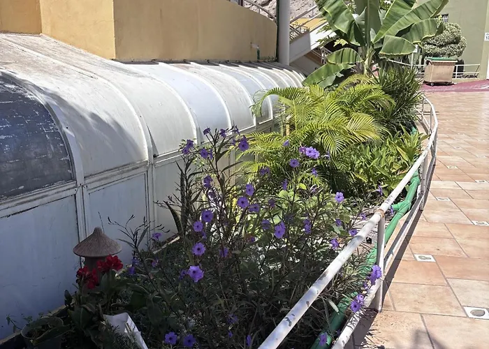 Sea & Pool Hideaway Appartamento *