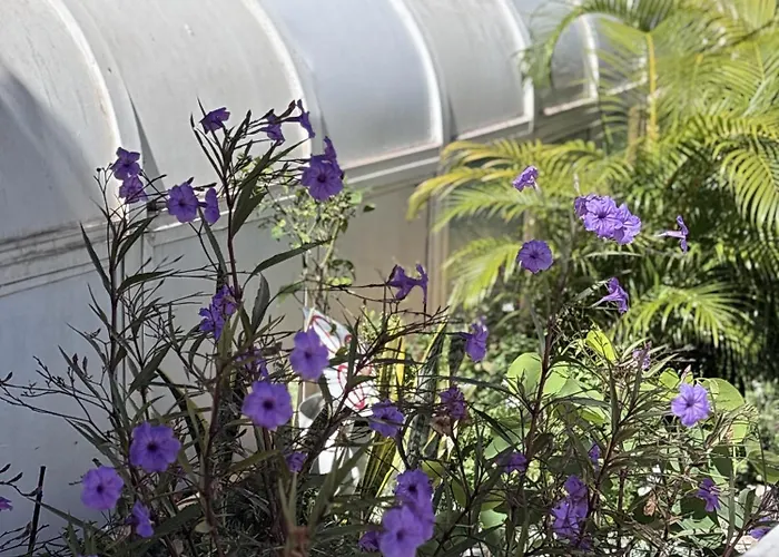 Sea & Pool Hideaway Апартаменти Адехе